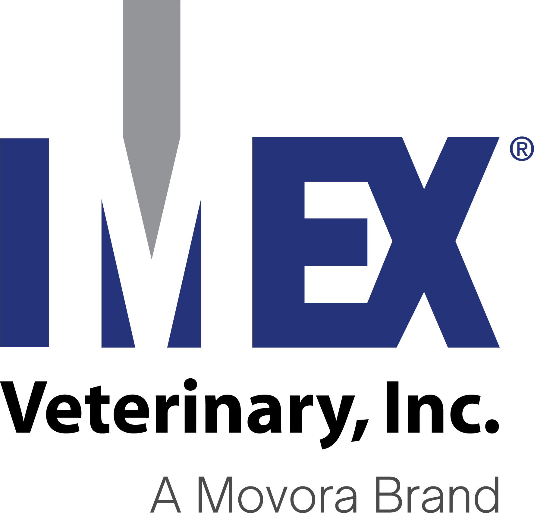 IMEX Logo