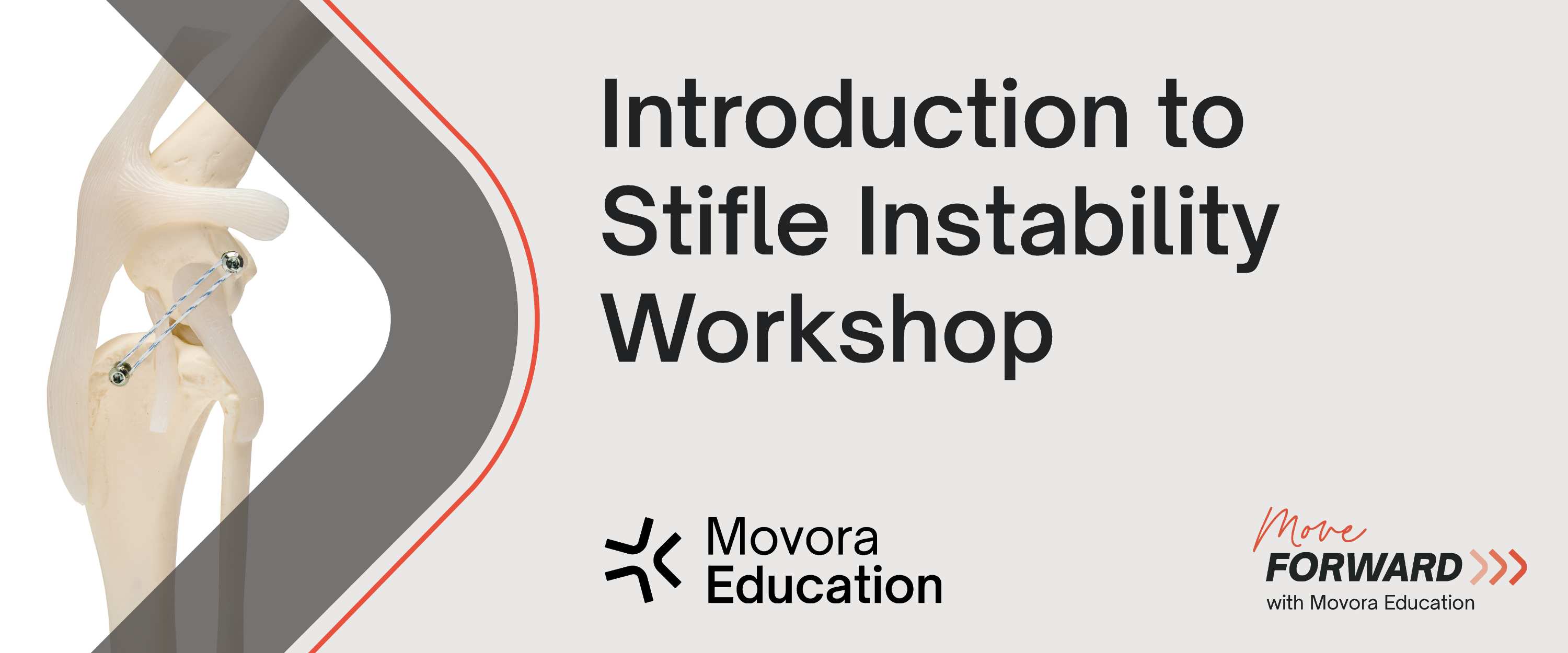 workshop-featured-image