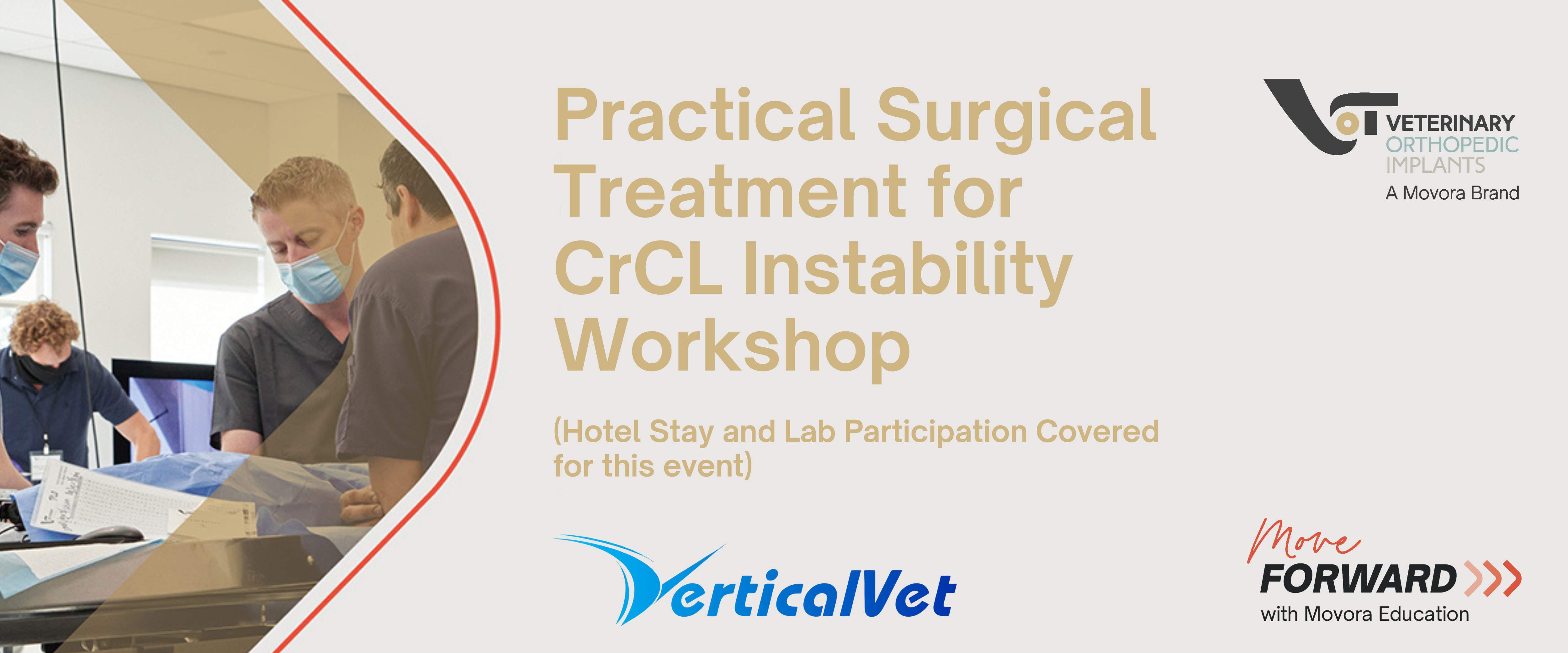 Stifle Surgery Workshop banner