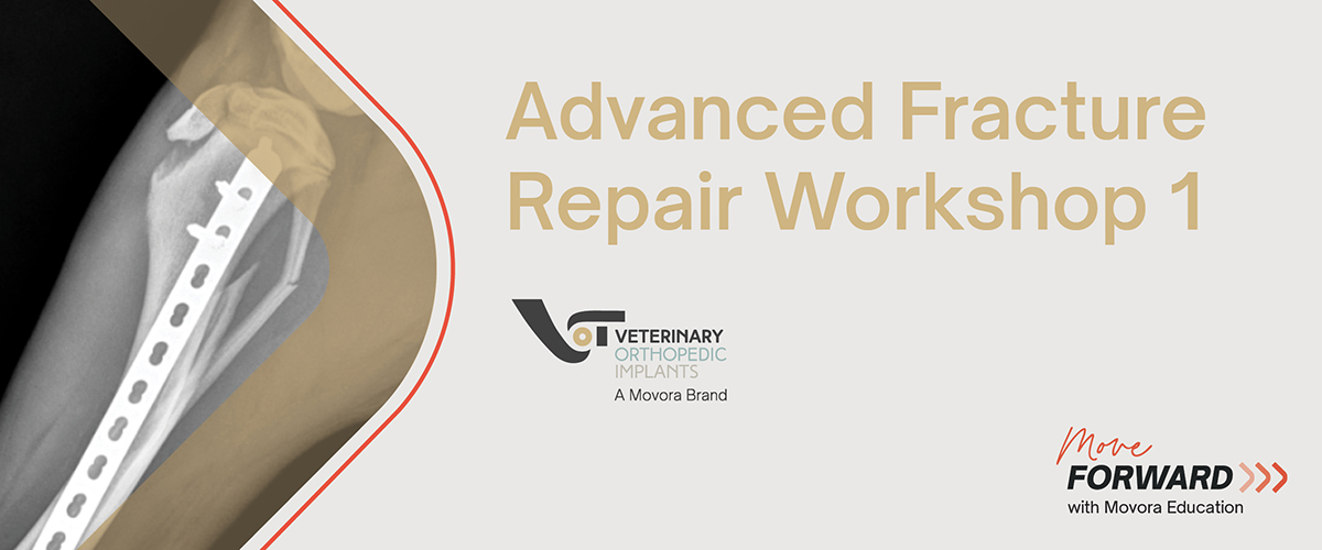 Advanced Fracture Repair 1 banner