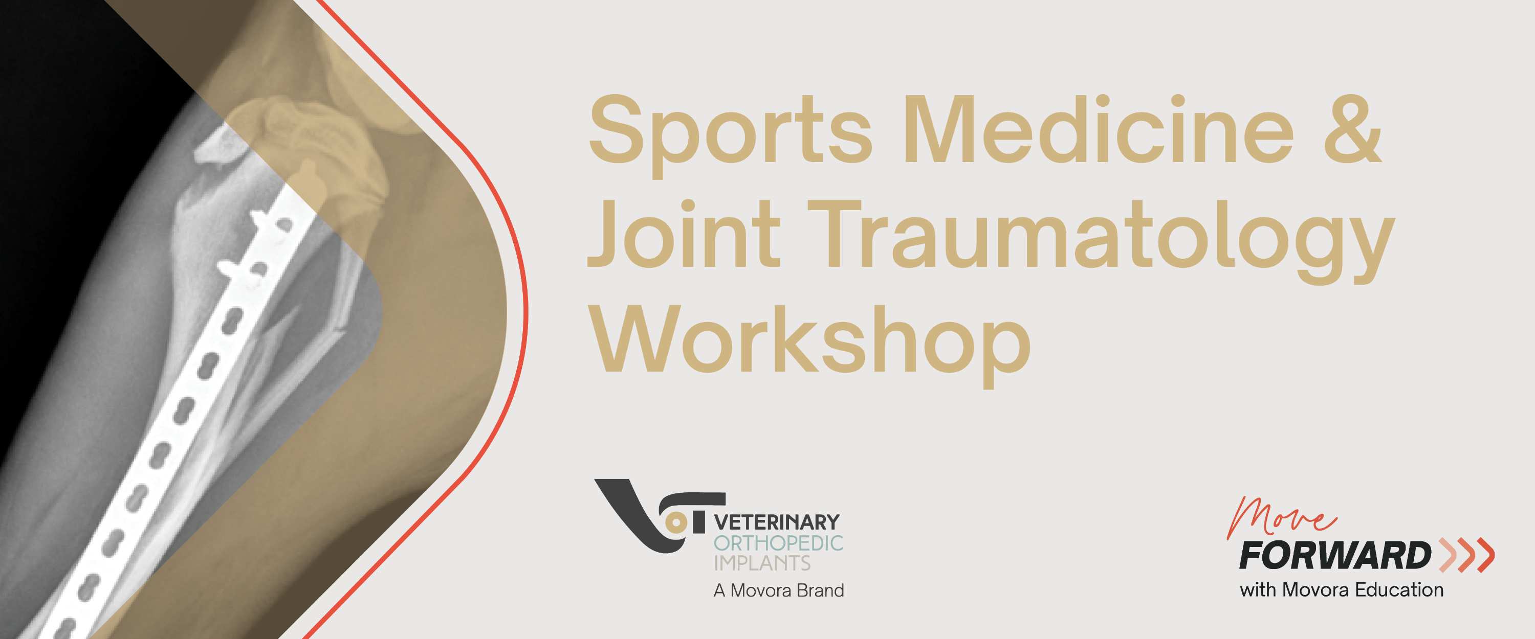 VOI Sports Medicine & Joint Traumatology Workshop banner