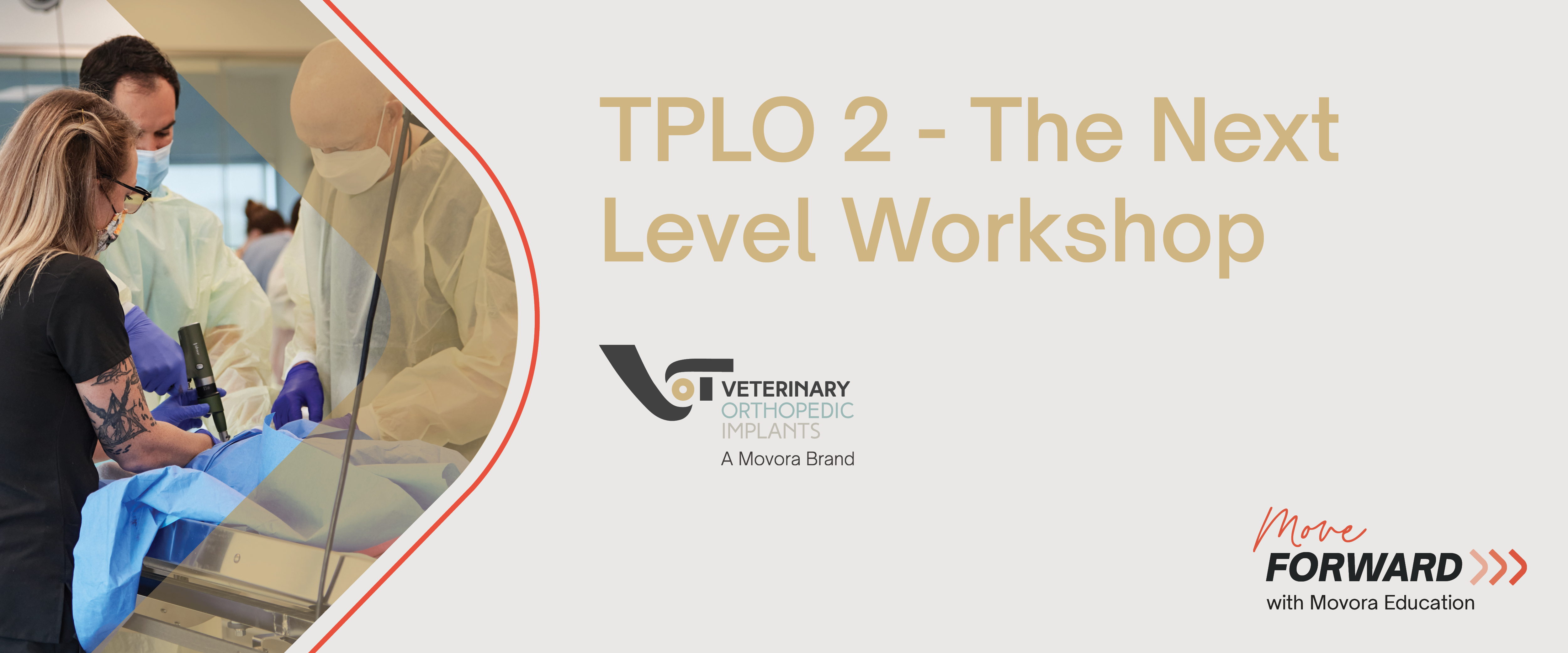 VOI TPLO 2 - the next level workshop banner