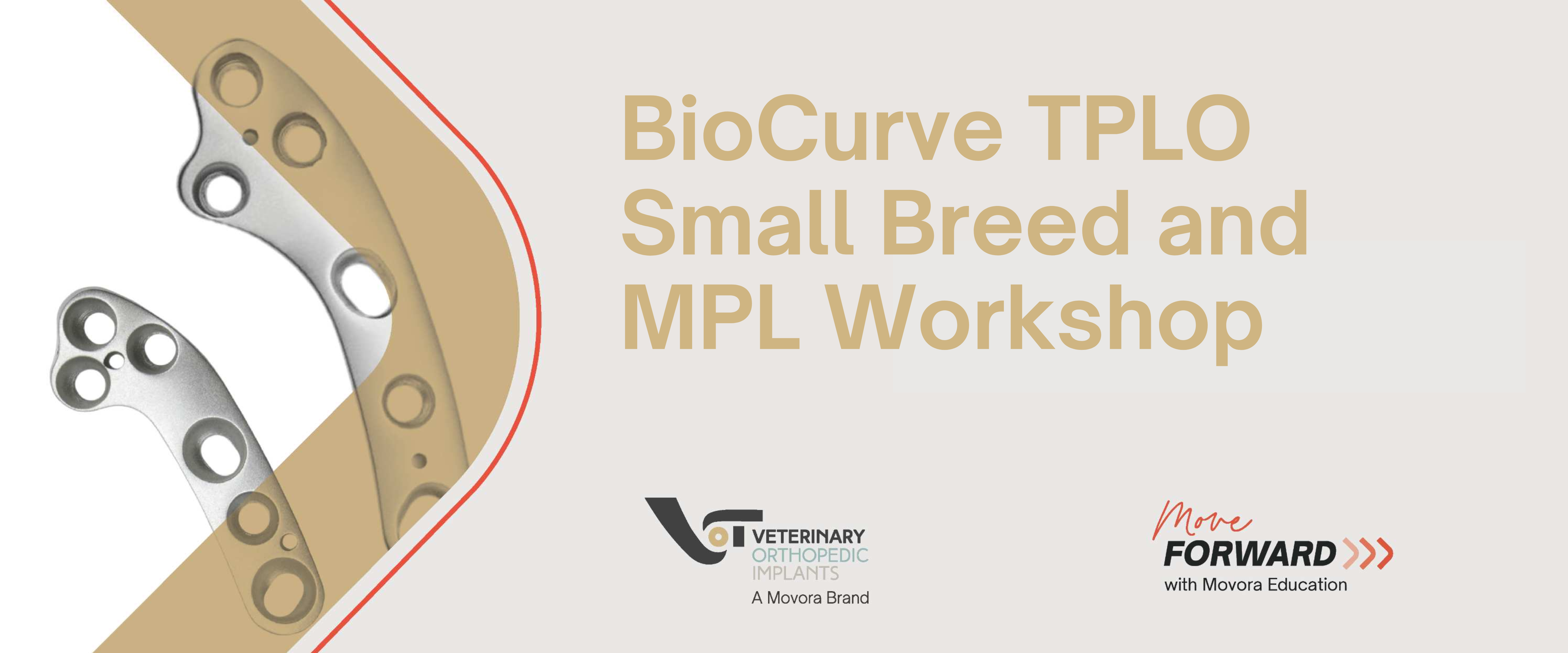 workshop-featured-image