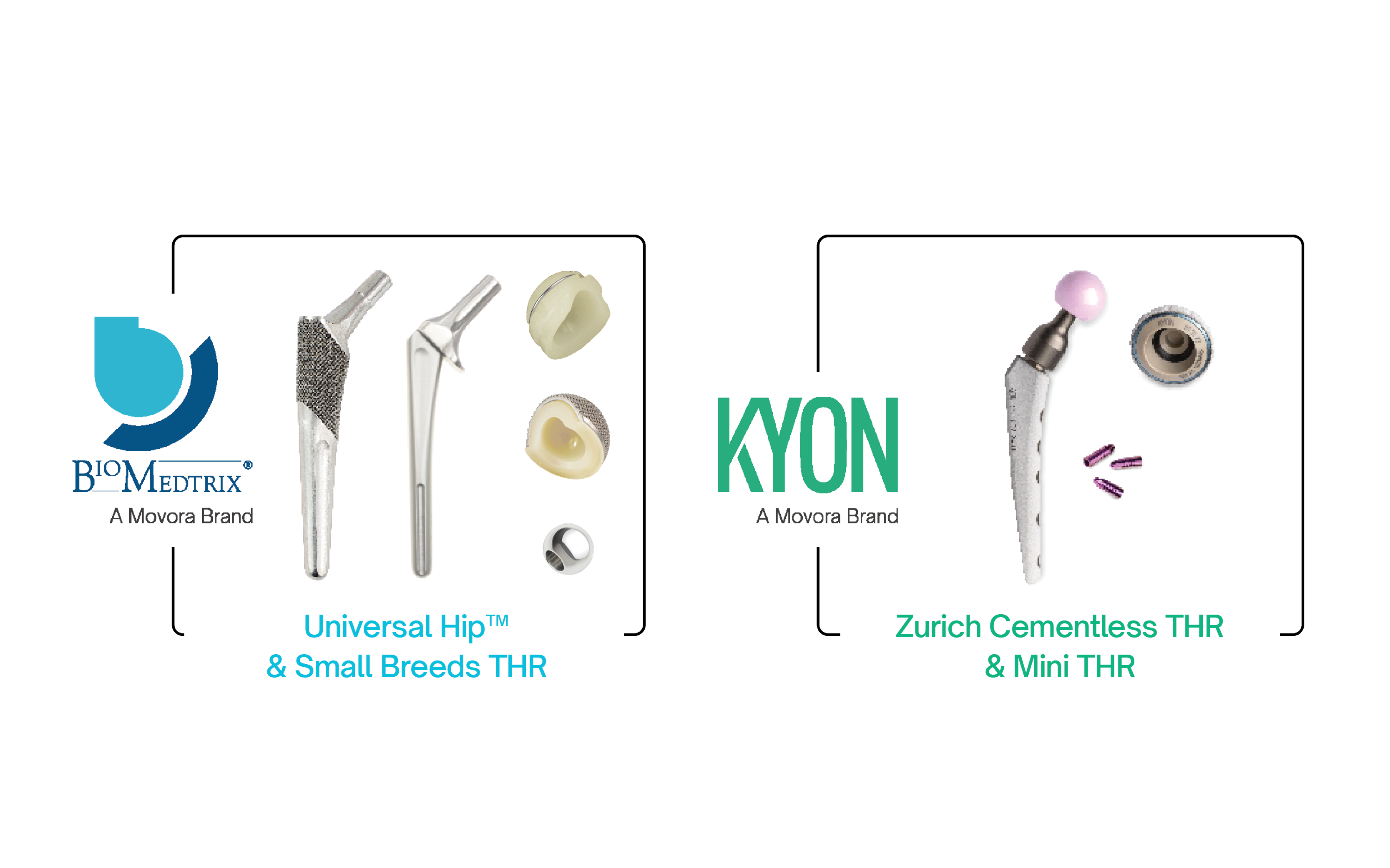 Movora Total Hip Replacement Product solutions - BioMedtrix Universal Hip and KYON Zurich Cementless
