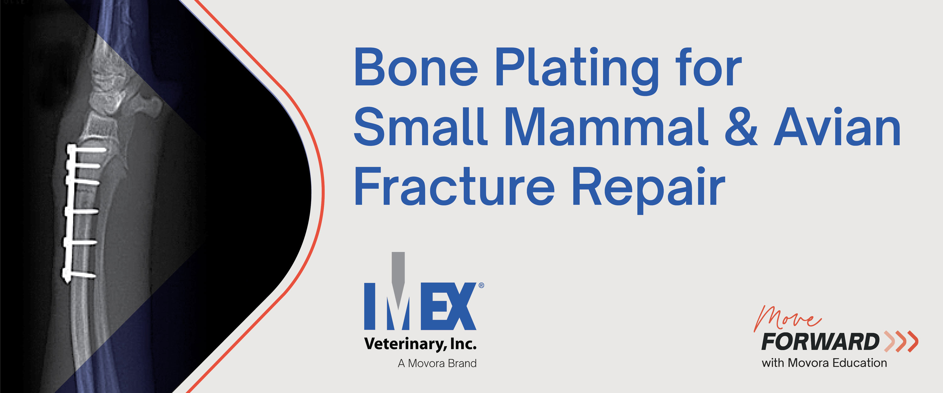 2024 IMEX Move Forward LMS Banner - Bone Plating for Small Mammal and Avian Fracture Repair Workshop
