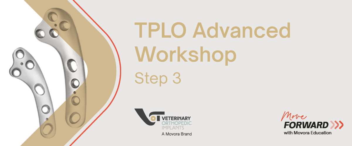 TPLO Advanced Workshop Step 3