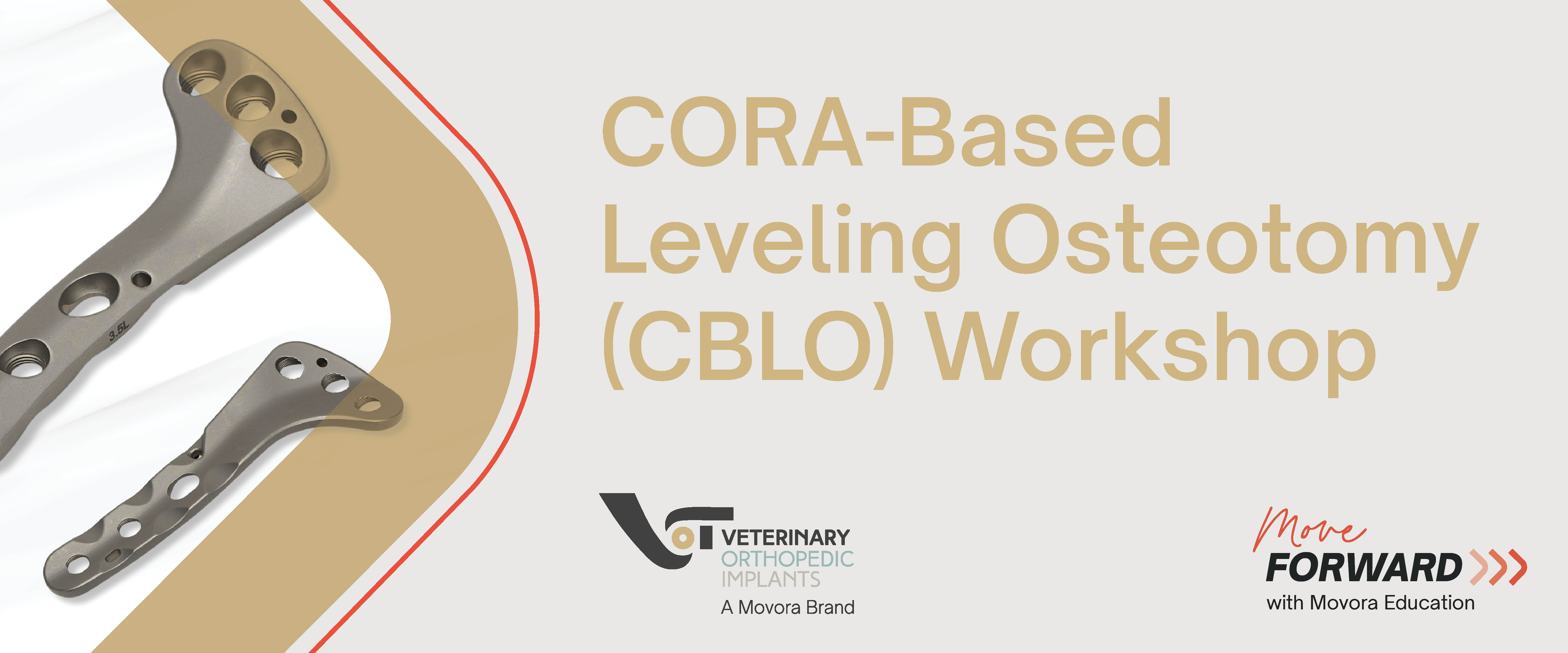 CBLO Workshop banner