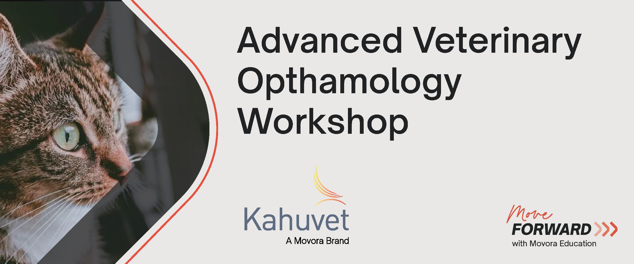 workshop-featured-image